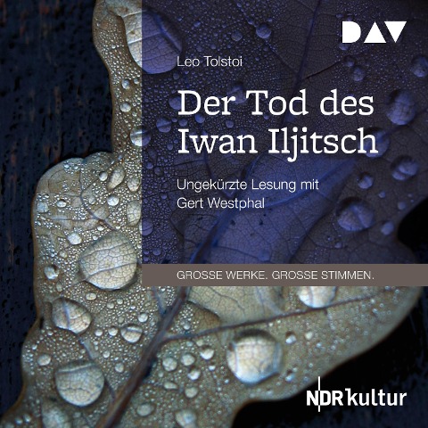 Der Tod des Iwan Iljitsch - Leo Tolstoi
