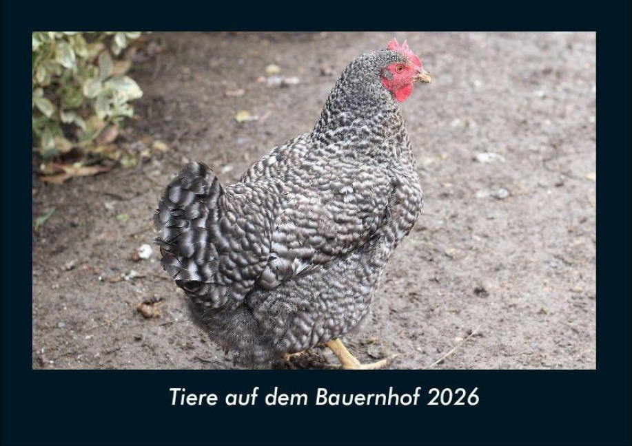 Tiere auf dem Bauernhof 2026 Fotokalender DIN A4 - Tobias Becker