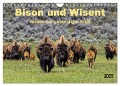 Bison und Wisent - Riesen mit unbändiger Kraft (Wandkalender 2025 DIN A4 quer), CALVENDO Monatskalender - Peter Roder