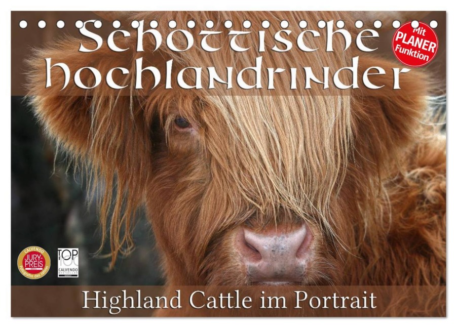 Schottische Hochlandrinder - Highland Cattle im Portrait (Tischkalender 2026 DIN A5 quer), CALVENDO Monatskalender - Martina Cross