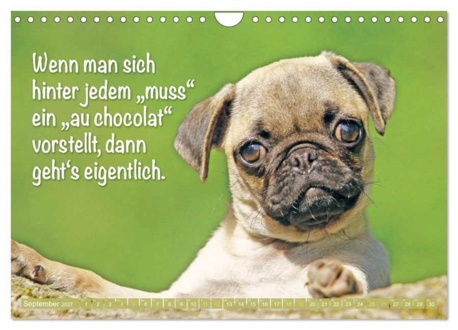 InsideView 14