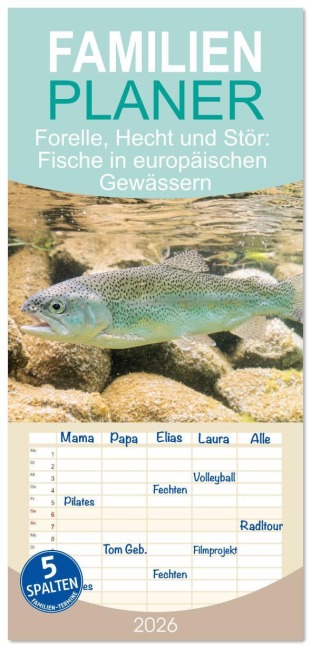 Familienplaner 2026 - Forelle, Hecht und Stör: Fische in europäischen Gewässern mit 5 Spalten (Wandkalender, 21 x 45 cm) CALVENDO - Calvendo Calvendo