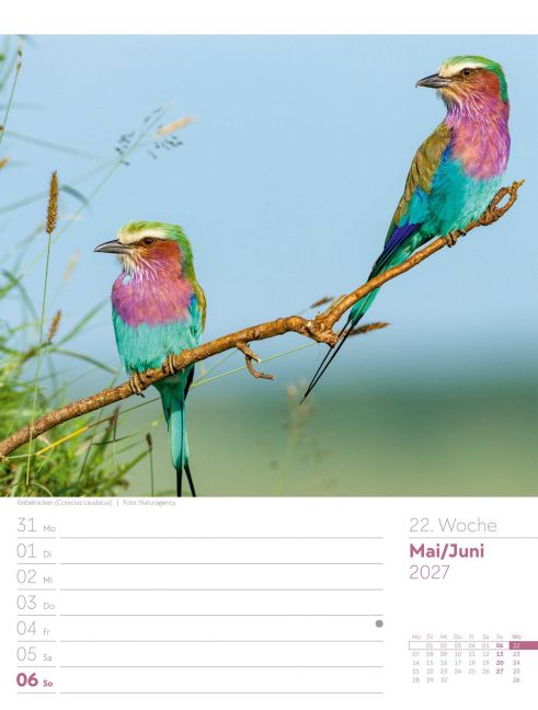 InsideView 26