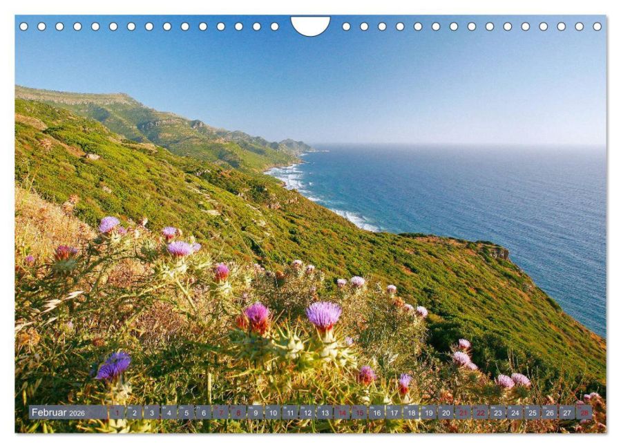 InsideView 7