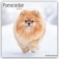 Pomeranians - Zwergspitz - Pomeranian Zwergspitz 2025 - 16-Monatskalender - Avonside Publishing Ltd