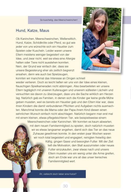 InsideView 6