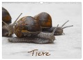 Tiere (Wandkalender 2024 DIN A3 quer), CALVENDO Monatskalender - Marco Odasso Skao-Fotografie