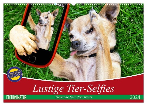 Lustige Tier-Selfies. Tierische Selbstportraits (Wandkalender 2024 DIN A2 quer), CALVENDO Monatskalender - Elisabeth Stanzer