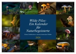 Cover-Bild zum Titel 'Wilde Pilze: Ein Kalender für Naturbegeisterte (Wandkalender 2026 DIN A2 quer), CALVENDO Monatskalender' von 'Thomas Heins'