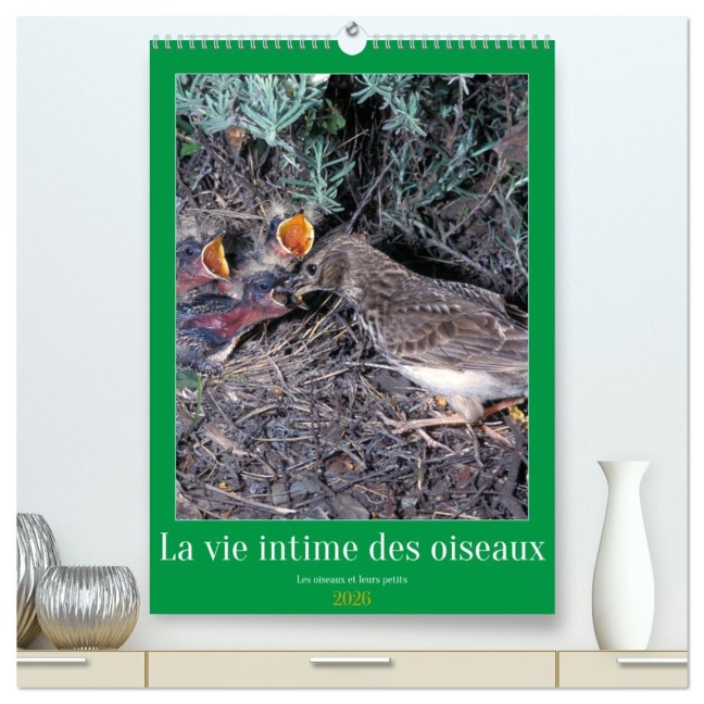 La vie intime des oiseaux Les oiseaux et leurs petits (Calendrier mural 2026 DIN A2 horizontal) calendrier de bureau - Alain Gaymard