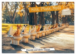 Sitz, Platz, Spül - Hunde auf dem Thron (Wandkalender 2025 DIN A4 quer), CALVENDO Monatskalender - Mb Fotografie