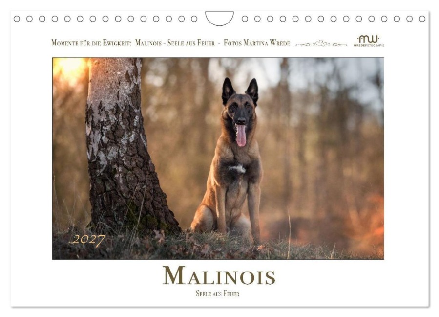 Malinois - Seelen aus Feuer (Wandkalender 2027 DIN A4 quer), CALVENDO Monatskalender - Martina Wrede - Wredefotografie