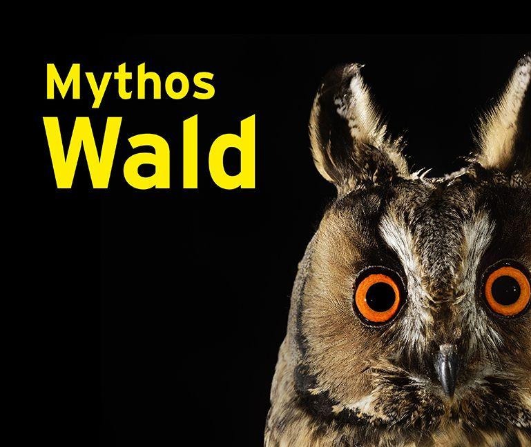 Mythos Wald - 