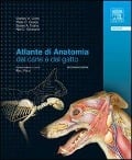 Cover-Bild zum Titel 'Atlante di anatomia del cane e del gatto' von 'Stanley Done, Peter C. Goody, Susan A. Evans, Neil C. Stickland'