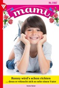 Cover-Bild zum Titel 'Falch' von 'Karina Kaiser'