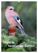 Cover-Bild zum Titel 'Vögel im heimischen Garten (Wandkalender 2026 DIN A2 hoch), CALVENDO Monatskalender' von 'Dieter Wilczek'
