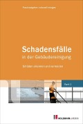 Cover-Bild zum Titel 'Schadensfälle in der Gebäudereinigung' von 'Praxisratgeber Rationell Reinigen'