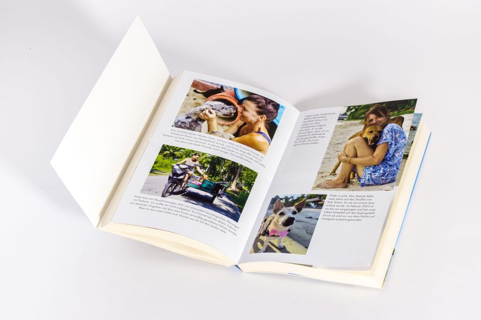 InsideView 8