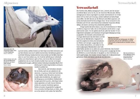 InsideView 1