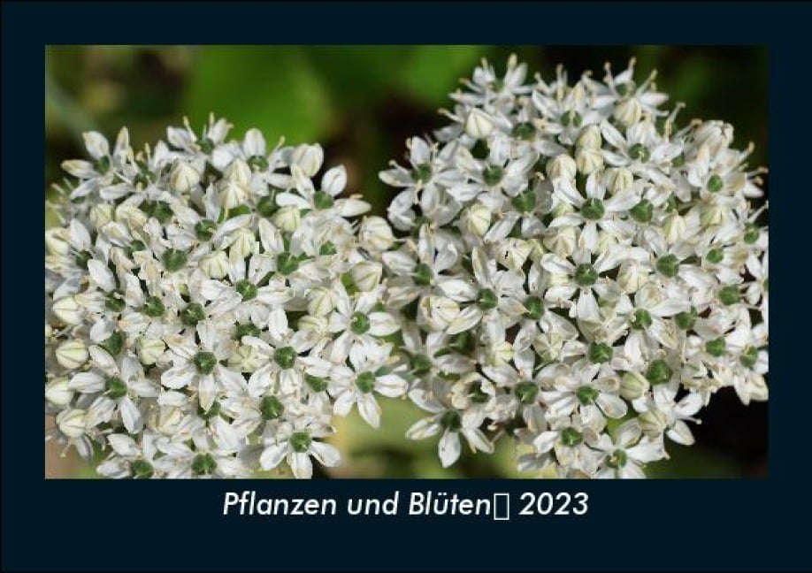 Pflanzen und Blüten 2023 Fotokalender DIN A5 - Tobias Becker