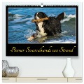 Berner Sennenhunde am Strand (hochwertiger Premium Wandkalender 2025 DIN A2 quer), Kunstdruck in Hochglanz - Sigrid Starick