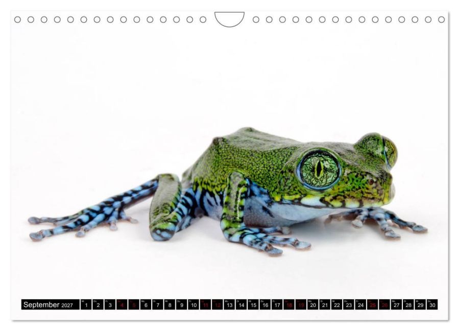 InsideView 14