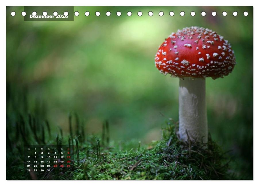 InsideView 4