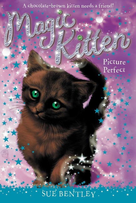 Picture Perfect - Sue Bentley