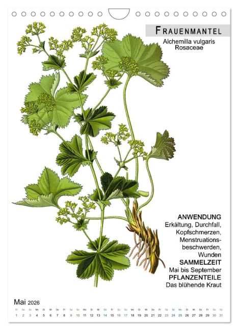 InsideView 10