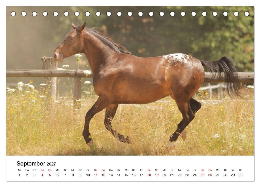 InsideView 14