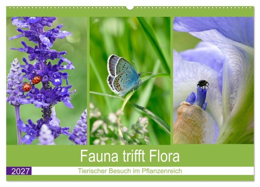 Fauna trifft Flora - Tierischer Besuch im Pflanzenreich (Wandkalender 2027 DIN A2 quer), CALVENDO Monatskalender - Christine B-B Müller