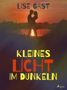 Cover-Bild zum Titel 'Kleines Licht im Dunkeln' von 'Lise Gast'
