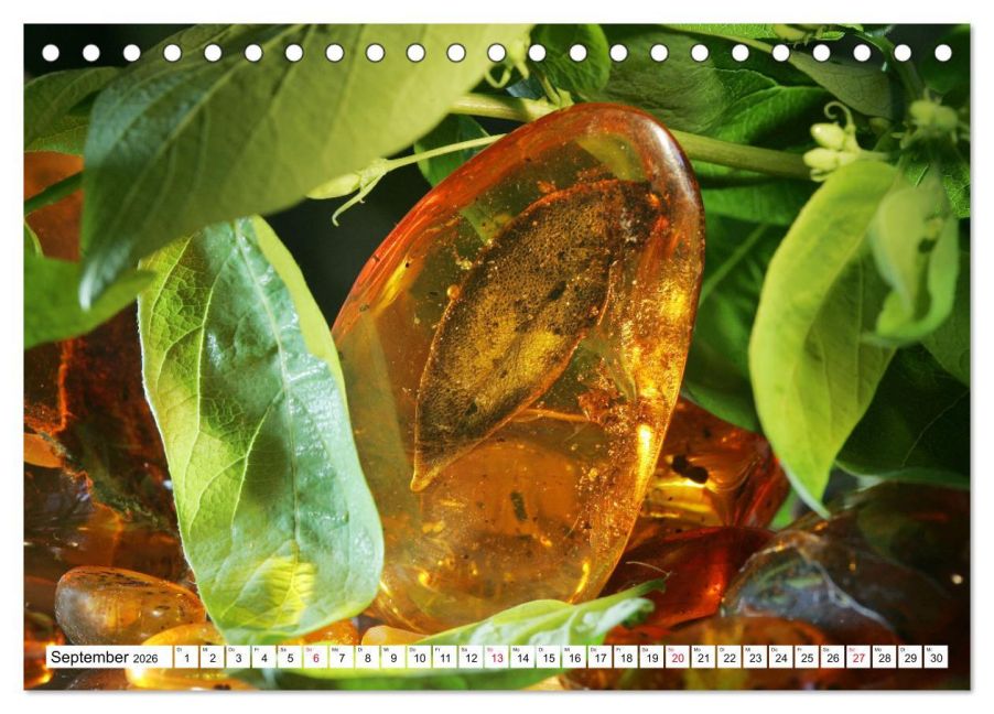 InsideView 14