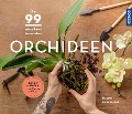 Orchideen - Folko Kullmann