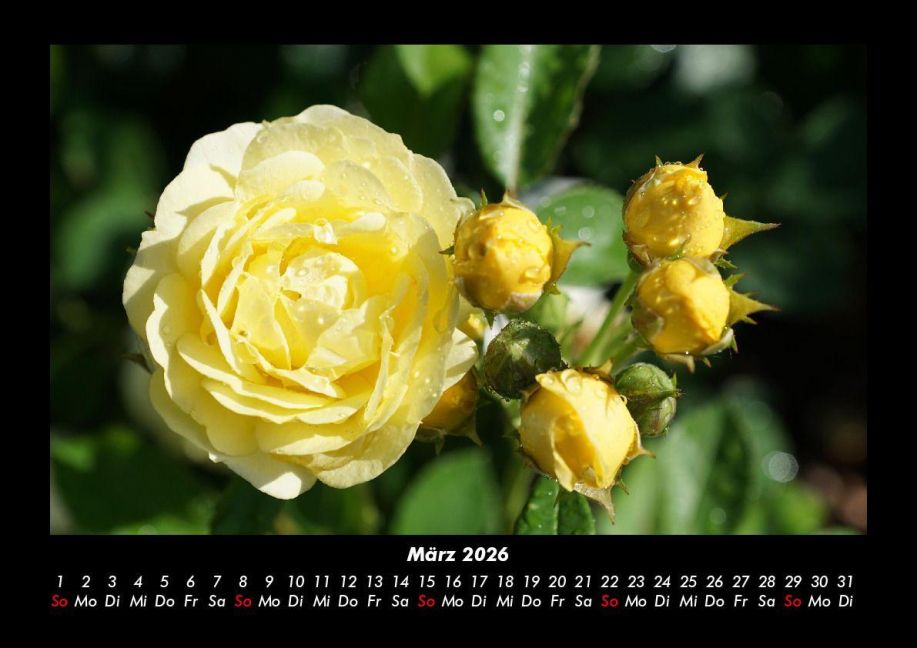 InsideView 7
