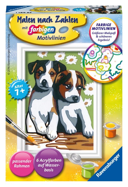 Süsse Welpen - 