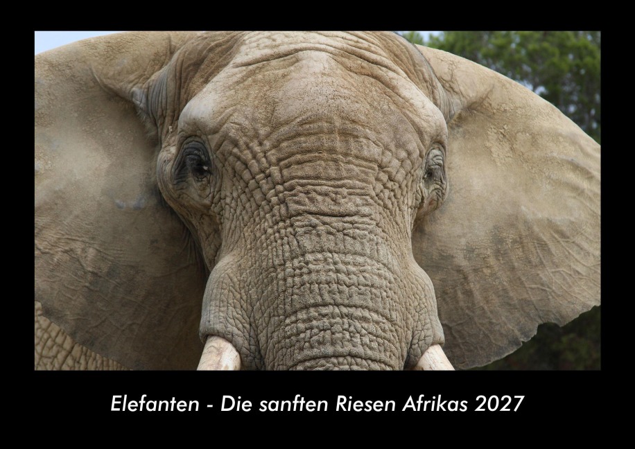 Elefanten - Die sanften Riesen Afrikas 2027 Fotokalender DIN A3 - Tobias Becker