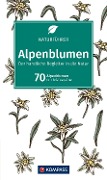 Alpenblumen - 