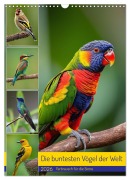 Cover-Bild zum Titel 'Die buntesten Vögel der Welt (Wandkalender 2026 DIN A3 hoch), CALVENDO Monatskalender' von 'Claudia Kleemann'