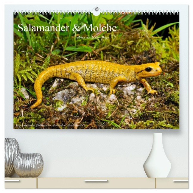Salamander und Molche (hochwertiger Premium Wandkalender 2026 DIN A2 quer), Kunstdruck in Hochglanz - Benny Trapp