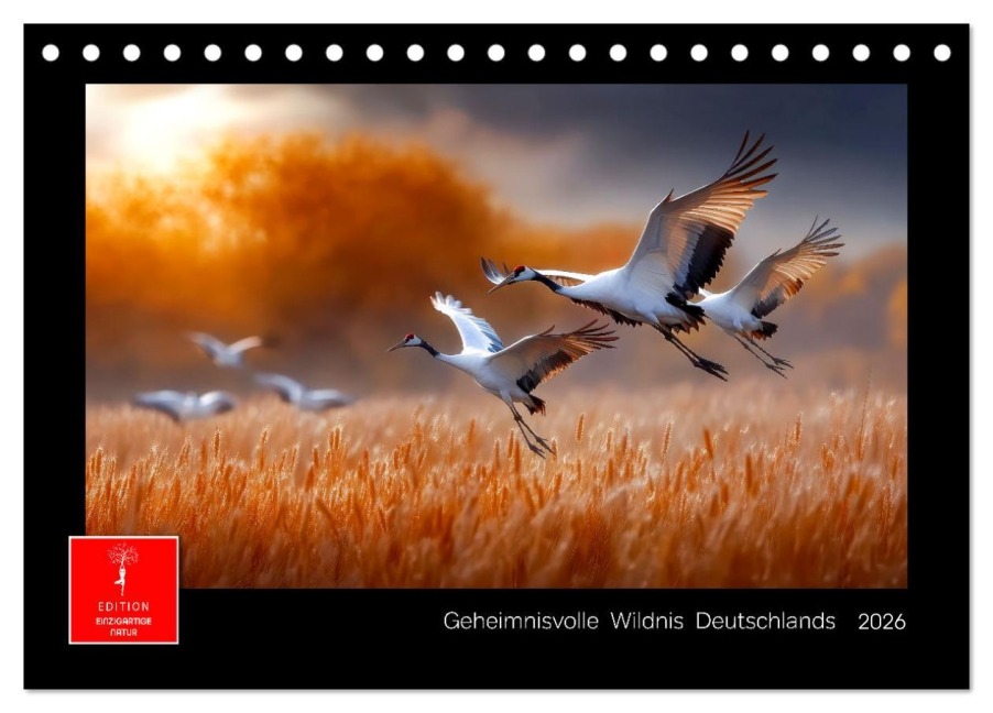Geheimnisvolle Wildnis Deutschlands (Tischkalender 2026 DIN A5 quer), CALVENDO Monatskalender - Peter Roder