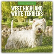 Cover-Bild zum Titel 'West Highland White Terriers - West Highland White Terrier - Westie 2027 - 16-Monatskalender' von 'Robin Red'