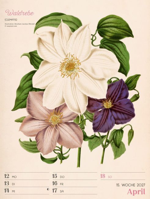 InsideView 19