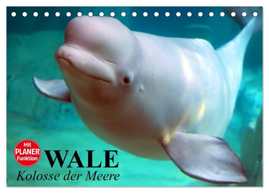 Wale. Kolosse der Meere (Tischkalender 2026 DIN A5 quer), CALVENDO Monatskalender - Elisabeth Stanzer