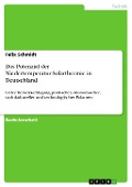 Cover-Bild zum Titel 'Das Potenzial der Niedertemperatur-Solarthermie in Deutschland' von 'Felix Schmidt'