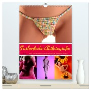 Cover-Bild zum Titel 'Farbenfrohe Aktfotografie (hochwertiger Premium Wandkalender 2026 DIN A2 hoch), Kunstdruck in Hochglanz' von 'Lichtgestalt Lichtgestalt'