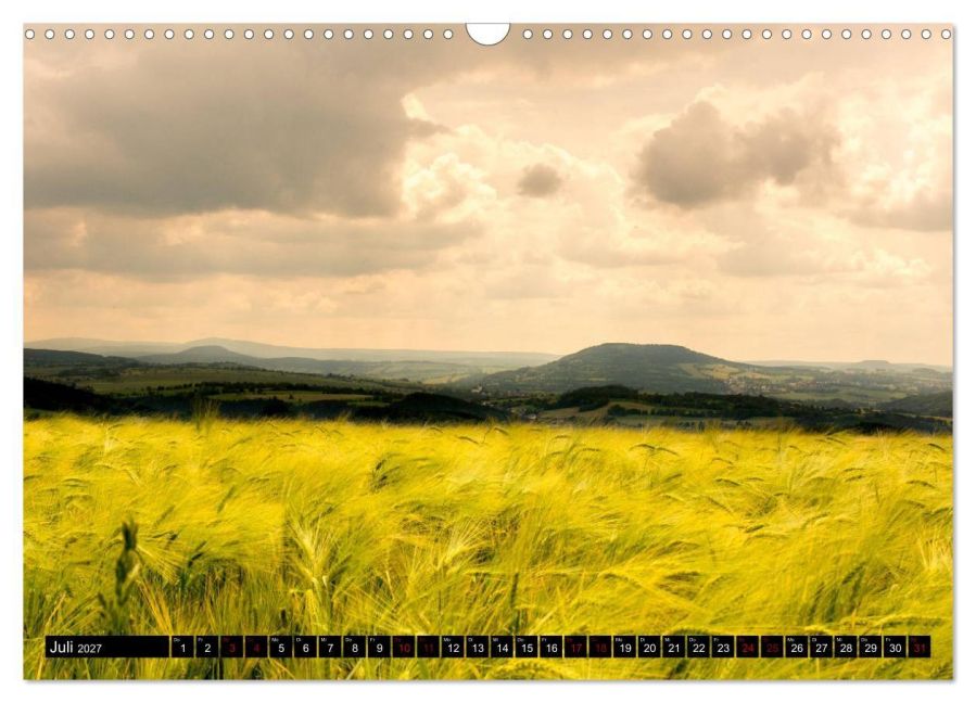 InsideView 12