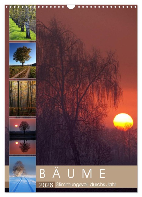 Bäume - Stimmungsvoll durchs Jahr (Wandkalender 2026 DIN A3 hoch), CALVENDO Monatskalender - Martina Cross