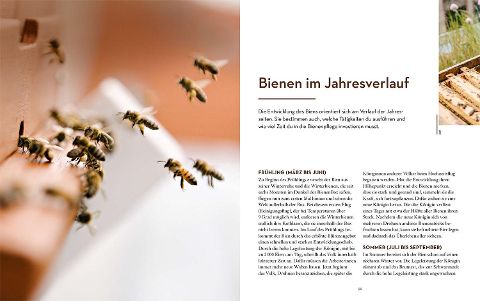 InsideView 4