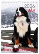 Cover-Bild zum Titel 'BÄR - Der Berner Sennenhund (Wandkalender 2026 DIN A4 hoch), CALVENDO Monatskalender' von 'Sonja Brenner'